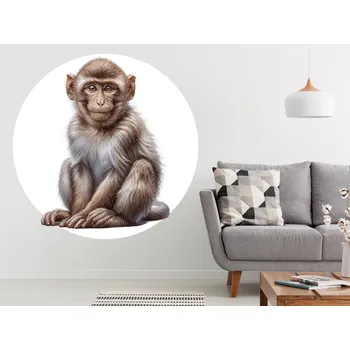 Samolepící dekorace Opice samolepka na zeď arch 120 x 120 cm