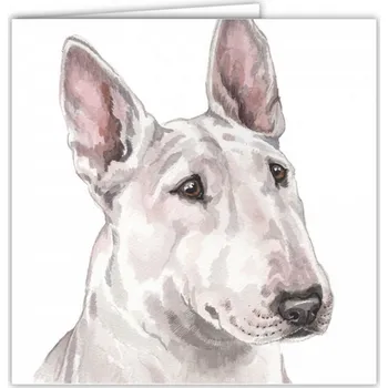 Přání v obálce Anglický bulteriér bílý, WD 16,5 x 16,5 cm (Blahopřání s obálkou s pejskem, psi, pes)