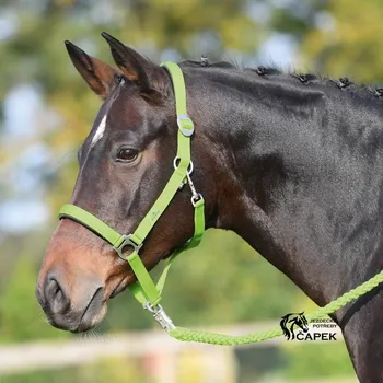 Ohlávka Busse -SUPREME- - Zelená - Cob