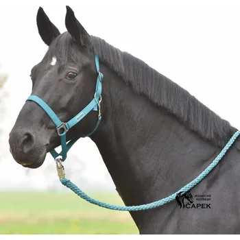 Ohlávka Busse -HANSA- - Zelená - Shetty