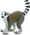 Figurka Safari Ltd. 292229 Lemur kata