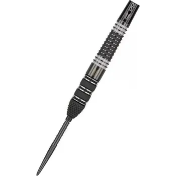 Target - darts Šipky Steel Raymond van Barneveld - 95% Echo - Swiss Point - 25g