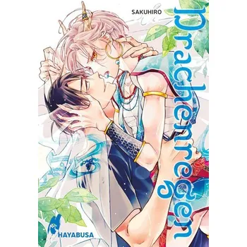 Komiks pro dospělé Drachenregen (Drachenregen 1) - Sakuhiro