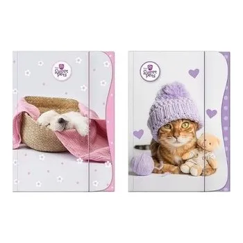Set školních potřeb Teczka z gumką A4 The Sweet Pets - Kids mix