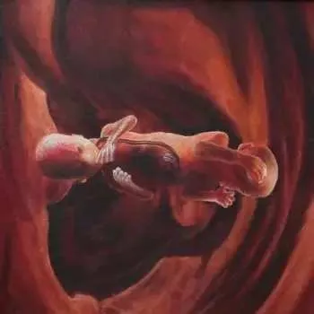 Zahraniční hudba LP Coalesce: 0:12 Revolution In Just Listening CLR 2024 Coloured Oxblood And Yellow Merge Vinyl