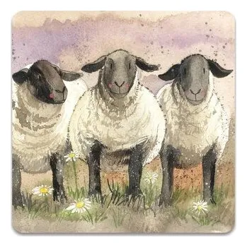 Set školních potřeb Magnes FM113 3 owce