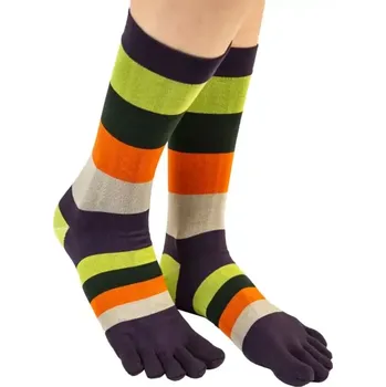 MEN FASHION barevné prstové ponožky ToeToe - PRUHY (ToeToe ponožky Men Fashion pistachio)