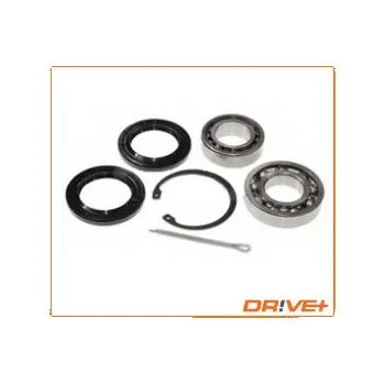 Sada ložisek kol Dr!ve+ DP2010.10.0207