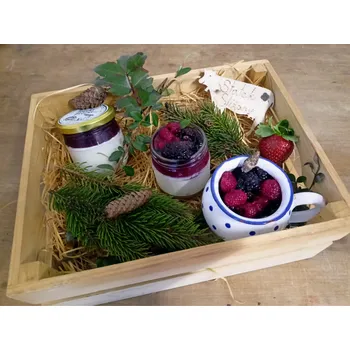 Jogurt ovocný - lesní směs, 200 g