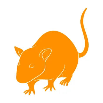 Samolepící dekorace SAMOLEPKA Krysa 003 levá (06 - oranžová) NA AUTO, NÁLEPKA, FÓLIE, POLEP, TUNING, VLASTNÍ TEXT, TISK, AUTOSAMOLEPKY.cz, POLEPY, OBRÁZEK, LOGO, SAMOLEPKY