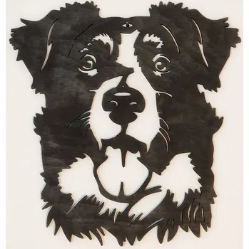 Obraz Obraz dřevěný Border kolie - Tmavě hnědá lazura