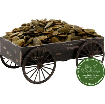 Sušená potravina Tykev jádra loupená 250g (Dýňové semínko)