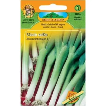 Semeno Nohel Garden Cibule zimní sečka Bajkal