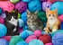 Puzzle Castorland Koťata v obchodě s přízí 300 dílků