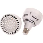 T-LED LED žárovka E27 PAR30 OS45-24 Varianta: Studená bílá