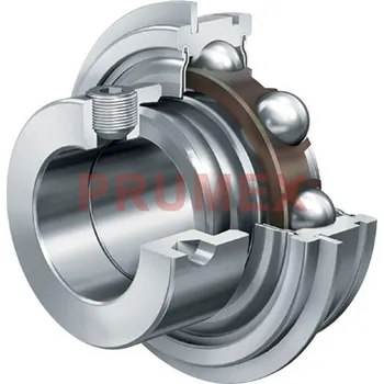 INA RAE 25 NPP-NR ložisko