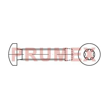 Šroub Šroub závitotvorný TORX DIN 7500C M5x12 pozink