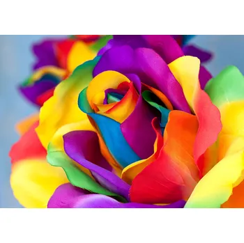 Diamantové malování Gaira® Diamantové malování Růže D1201