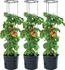 Květináč Květináč pro pěstování rajčat s podpůrnou konstrukcí 29,5 cm 3 ks antracit
