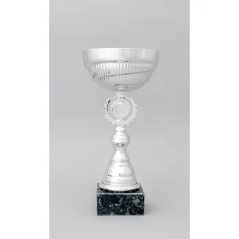 Stříbrný sportovní pohár 23 - 30 cm - 30 cm