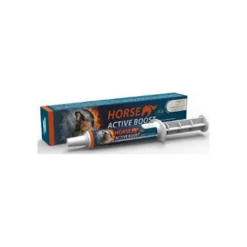 Horse Active Boost perorální pasta 1x20g