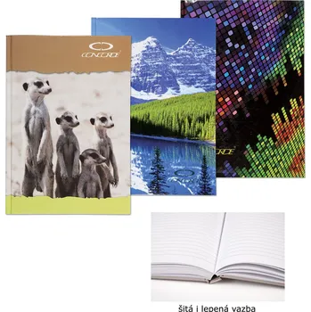 Blok Kniha záznamní lepená Concorde - A5 / linka / 100 listů