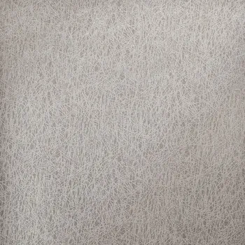 Tapeta Hohenberger 64660HTM luxusní vliesová tapeta na zeď, rozměry 10.05 x 0.53 m