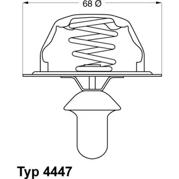 Chladič motoru Termostat, chladivo BORGWARNER 4447.85D