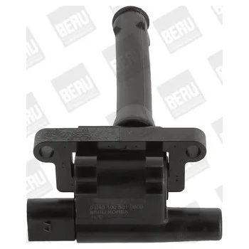 Zapalovací cívka Zapalovací cívka BorgWarner (BERU) ZS501
