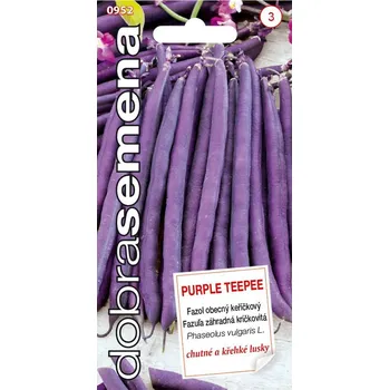 Semeno Dobrá semena Fazol keříčkový - Purple Teepee 10g