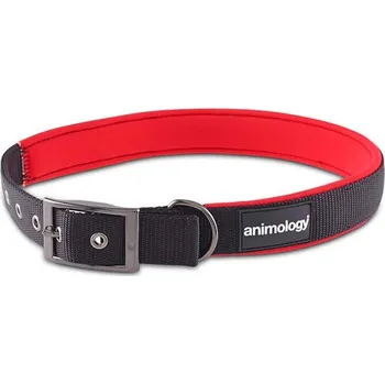 Obojek pro psa Animology obojek pro psa, neoprenový, červený, velikost L