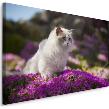 Dekorativní polštářek MyBestHome BOX Plátno Ragdoll Kočka Mezi Květinami Varianta: 30x20
