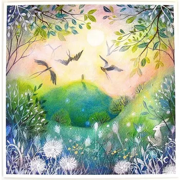 Přání - Tvůj sen