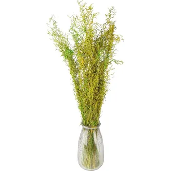 Dekorace zelená sušená květina - 90 cm (50 gr)