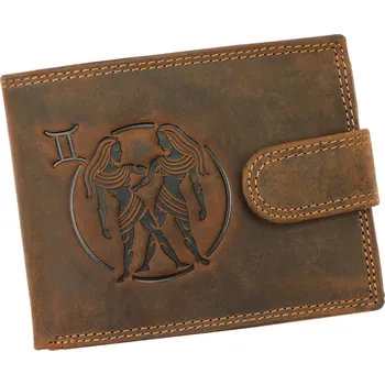 Peněženka Pánská kožená peněženka Wild L895-005 varinta 21 hnědá