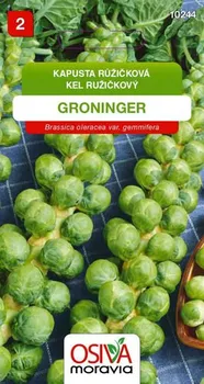 Semeno Osiva Moravia Groninger kapusta růžičková 0,8 g