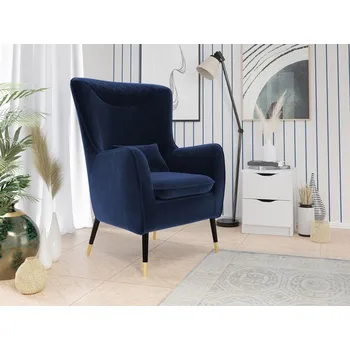 Křeslo Čalouněné křeslo Arisean, Potah: Magic Velvet 2216 MIRJAN 5903211173417