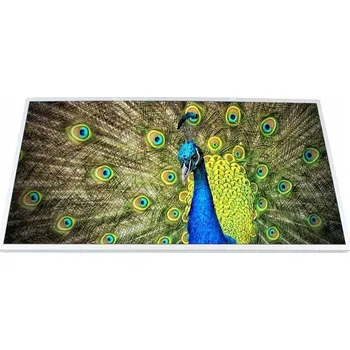 Náhradní displej pro notebook LCD LESK HD+ ASUS K73E K73S K73SD (LCD LED TN lesklý 17,3 " 1600 x 900 004)