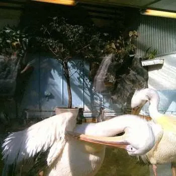 Zahraniční hudba LP Agent blå: Medium Rare LTD 2018 Limited Edition Vinyl