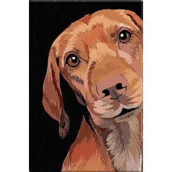 Malování podle čísel - Pes Aron - 40x60 cm, bez dřevěného rámu - CZ výroba