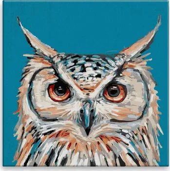 Malování podle čísel - Sova 06 - 40x40 cm, bez dřevěného rámu - CZ výroba