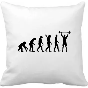 Dekorativní polštářek Fenomeno Polštářek - Evoluce(posilovna)