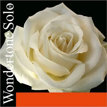 Struna pro kytaru a smyčcový nástroj Pirastro WONDERTONE steel 312221 - Struna A na housle