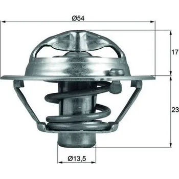 Těsnění motoru Termostat, chladivo MAHLE TX 118 82D