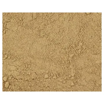 Koření Zázvor mletý 25g