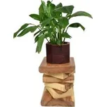 Dřevěný podstavec pod rostliny Natural Books 40 cm