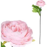 Autronic Pivoňka KN6160 37 cm