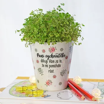 Květináč Recenze HouseDecor Květináč pro paní vychovatelku 10 x 9 cm