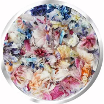 DENATO s.r.o. Sušené květy 2