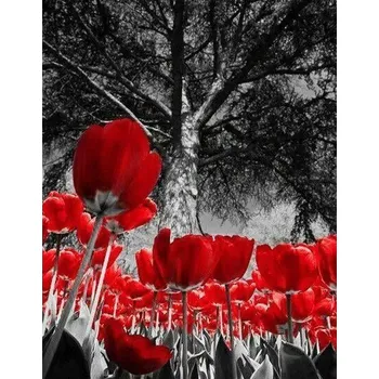 Diamantové malování Diamantové malování - Červené tulipány - č. 598 50x60 cm